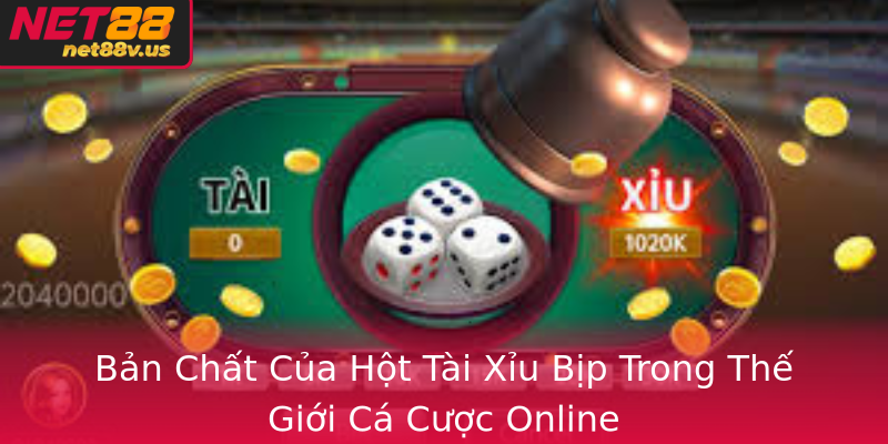 Bản Chất Của Hột Tài Xỉu Bịp Trong Thế Giới Cá Cược Online Bản Chất Của Hột Tài Xỉu Bịp Trong Thế Giới Cá Cược Online